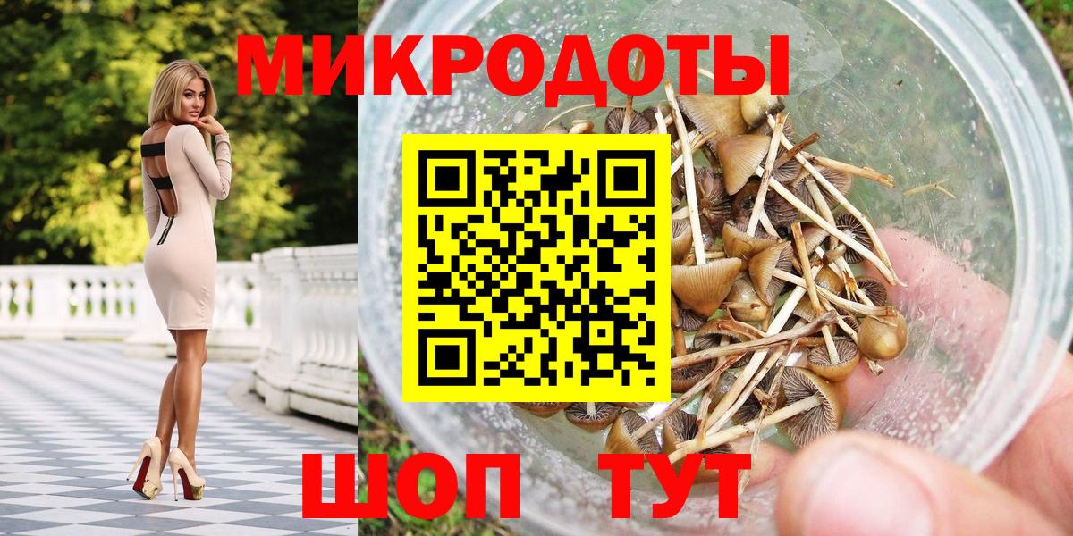 Псилоцибиновые грибы Psilocybe Киселёвск