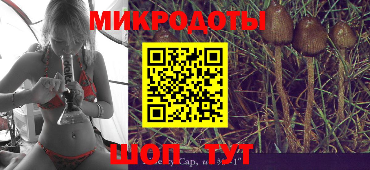 Галлюциногенные грибы Psilocybe  Вход с VPN  Киселёвск 